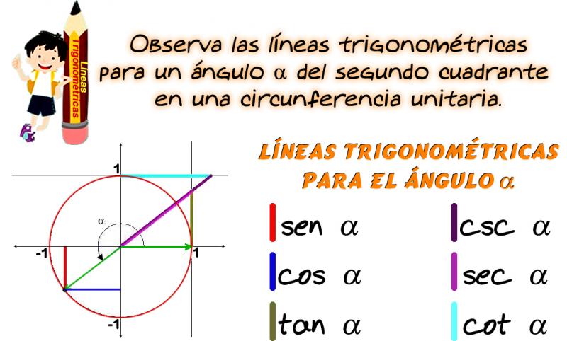 Presentación LÍNEAS TRIGONOMÉTRICAS 10º Secundaria trigonometría