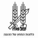 Palmach Museum