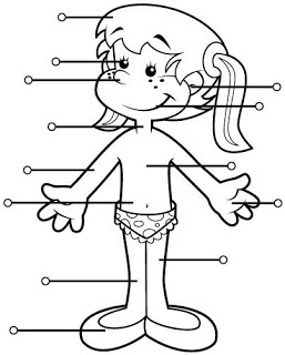 Imprimir Mapa Interactivo: partes del cuerpo humano (biología) Imprimir Mapa Interactivo: partes del cuerpo humano (biología)