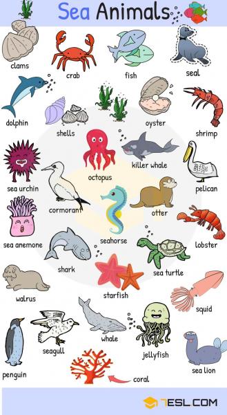 Slideshow: Animals (wild animals) Slideshow: Animals (wild animals)