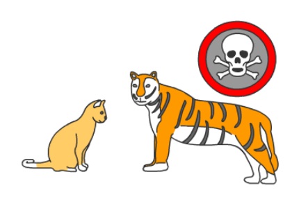 1 Paar Socken Ente Cartoon gedruckt Tiere Männer Enten Paar Baumwolle Crew V7N5 