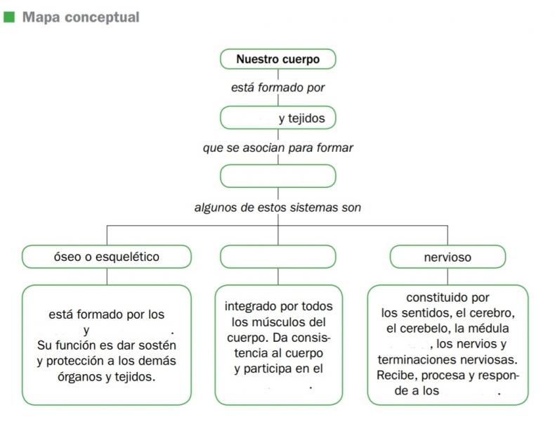 Mapa Interactivo: Mapa Conceptual (biología)