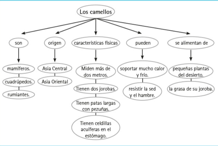 Print Quiz: Secundaria 1 Refranes y Dichos (lengua - 1º - Educación  secundaria - dichos - refranes - pregones)