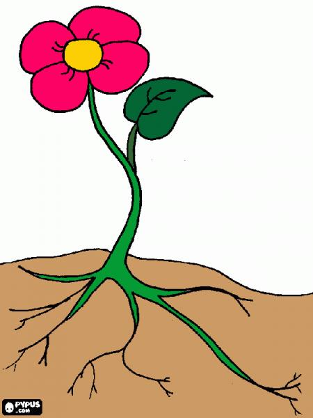 Imprimir Mapa Interactivo: Partes de la flor (biología - Segundo grado - Preescolar - partes de la flor) Imprimir Mapa Interactivo: Partes de la flor (biología - Segundo grado - Preescolar - partes de la flor)