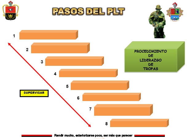 PASOS DEL PLT