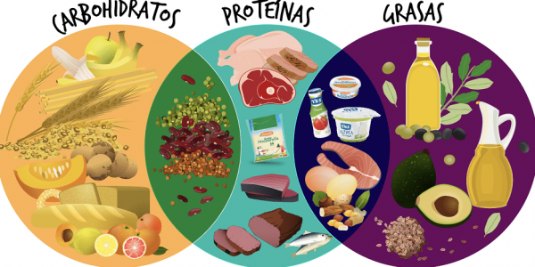 Print Quiz: Nutrición en la diabetes (biología - 2º - Bachillerato -  nutrición)