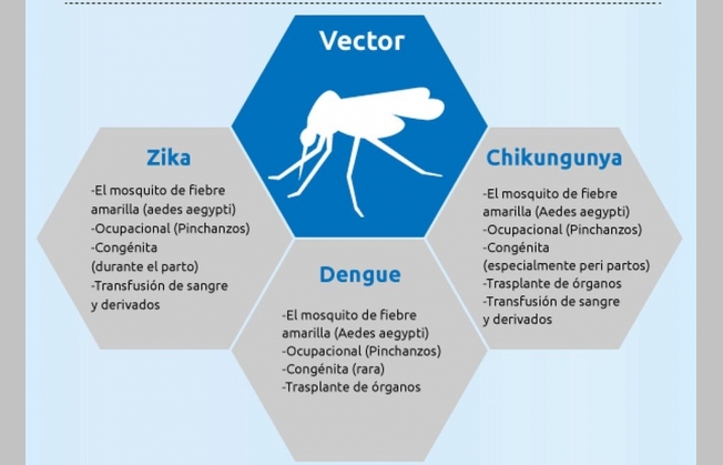Presentación: Enfermedades Transmitidas por Vectores (biología -  enfermedades transmitidas por vectores - vectores y enfermedades -  enfermedades tropicales)