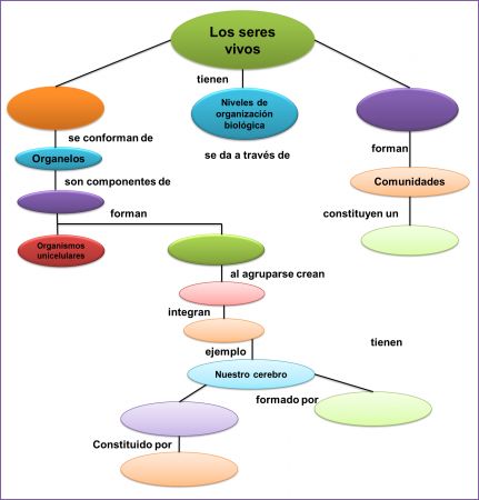 Carte Interactive: MAPA CONCEPTUAL ()