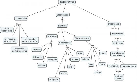 Map Quiz: Bioelementos ()