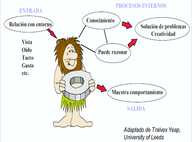 Total 47+ imagem modelo computacional br.thptnganamst.edu.vn