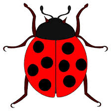 Print Crossword Puzzle: Invertebrates. Images ()