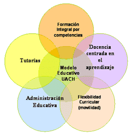 Imprimir Test: Evaluación como investigación ()